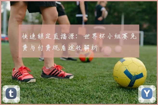 快速锁定直播源：世界杯小组赛免费与付费观看途径解析