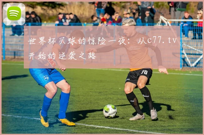 世界杯买球的惊险一夜：从c77.tv开始的逆袭之路